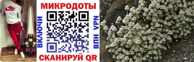 Псилоцибиновые грибы прущие грибы kraken tor shop формула Елизаветинская